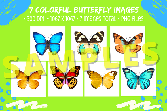 Download 7 Pretty Butterflies Color Image Bundle - Pretty Collection